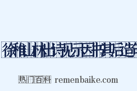 徐稚山林出诗见示因书其后造句是什么意思的图片